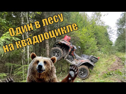 Видео: Один в лесу на квадроцикле cfmotox8ho, отбиваюсь от медведей.