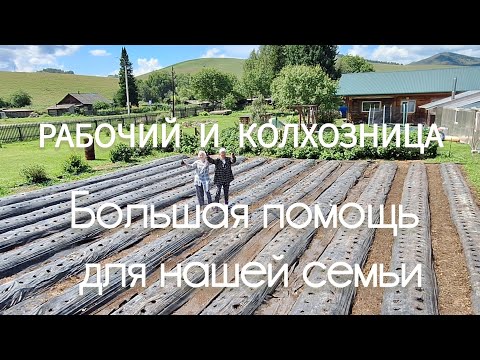 Видео: Почему гости не захотели от нас уезжать? Снова отдыхаем и ударно трудимся.
