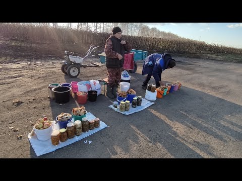 Видео: Торговля на трассе.Солю для себя, проверяю на себе. У нас хороший покупатель, никак не уедет. 😊🤭