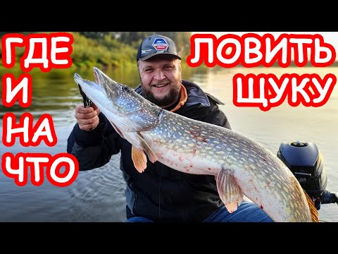 Видео: КАК ВЫБРАТЬ МЕСТО И ПРИМАНКУ НА ЩУКУ. ЛОВЛЯ ЩУКИ НА СПИННИНГ. ПРИМАНКИ И ПРОВОДКИ НА ЩУКУ