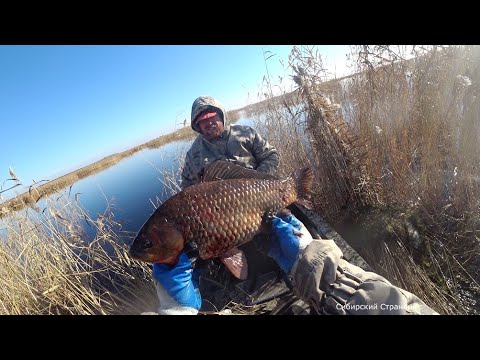 Видео: Где поймали, там и отжарили. Как охотятся и рыбачат Сибиряки.