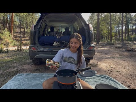 Видео: Что я готовлю за день, живя в машине