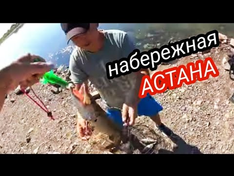 Видео: Рыбалка на спиннинг!   Береговая рыбалка! Набережная реки Ишим!