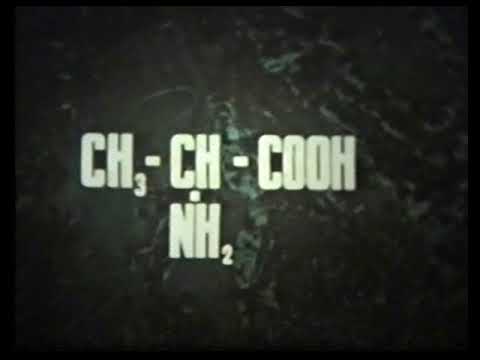 Видео: Белки - природные биополимеры