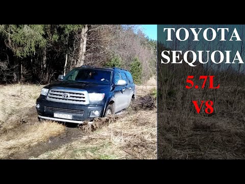 Видео: Toyota Sequoia | Обзор