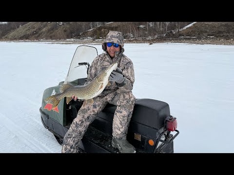 Видео: Крупные Окуни реки Лена. Подводные съёмки. Закрытие.