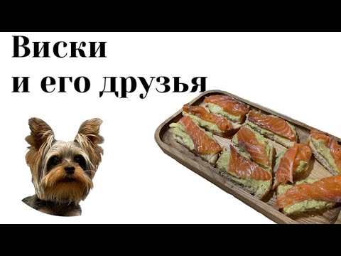 Видео: Лучшая закуска под шампанское 2022