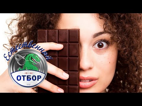 Видео: "Естественный отбор". Шоколад молочный