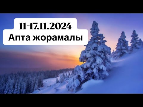 Видео: 11-17.11.2024ж. Апта жорамалы