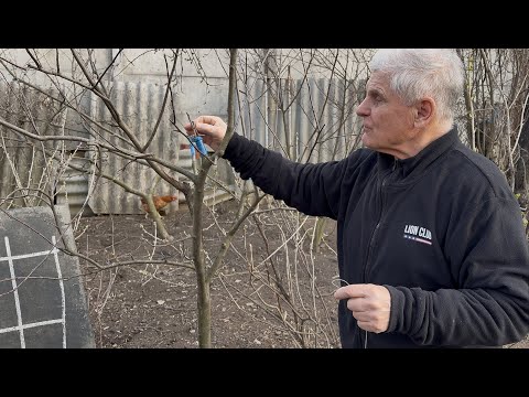 Видео: Почему ваш сад плохо растёт? Одна из проблем и ее решение