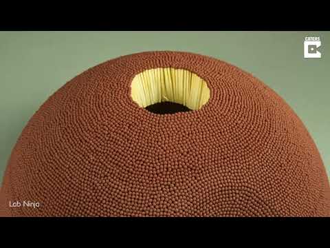 Видео: ЛУЧШЕЕ из вашей ежедневной дозы Интернета!