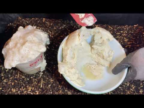 Видео: ОБНОВЛЕНИЕ ЧАСТЬ 6 - В мой самодельный контейнер для предварительного компостирования, расположен...