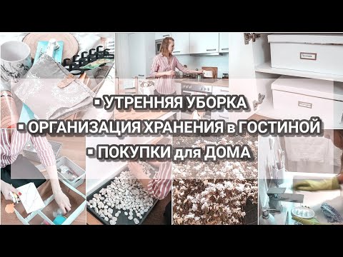 Видео: Утренняя мотивация на уборку | Организация хранения в гостиной | Покупки для дома и быта