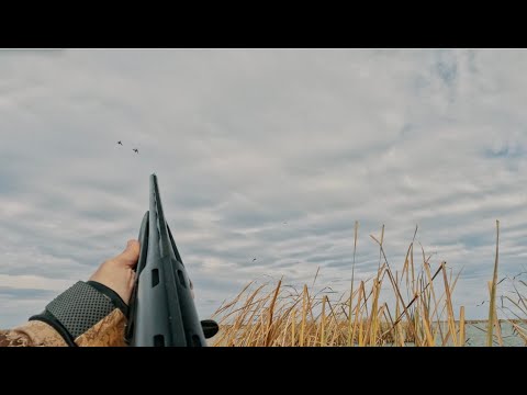 Видео: Добыл странную утку. Охота на большом озере. Убинка 2023. Первый раз на Убинском.