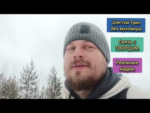 Видео: Шестой трип без мухомора! Чистое осознание! #осознанность #пробуждение #просветление #бог #трип