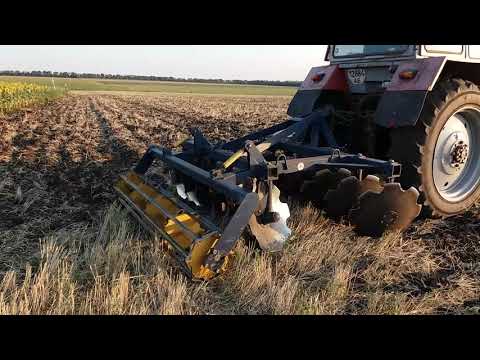 Видео: ЮМЗ-6 с АГД-2.1 на дисковке стерни озимой пшеницы..