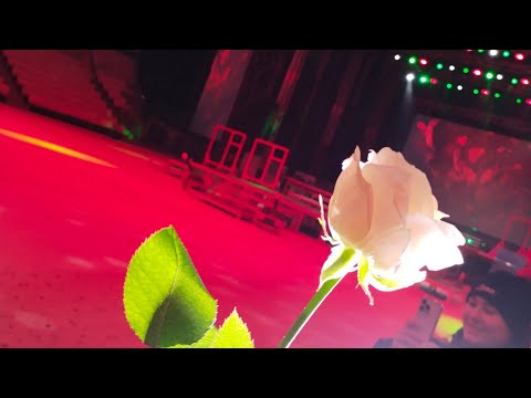 Видео: артек в Новый век , 100 лет Артек 1/25 янтарный