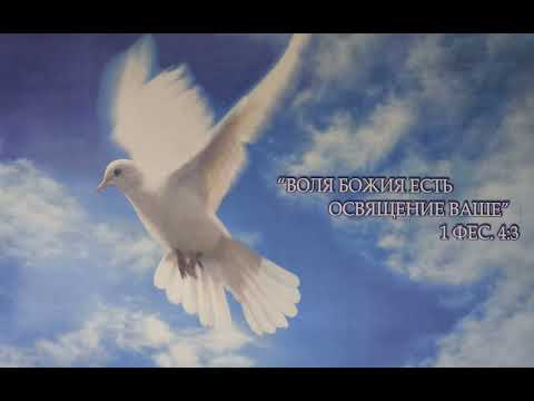 Видео: Истреби зло из среды себя 