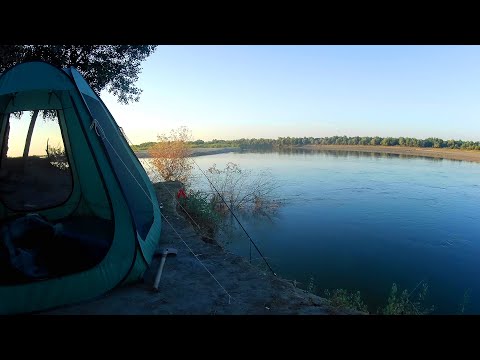 Видео: Сырдарья + канал. БИГФИШ(!) сезона?!! Две рыбалки.