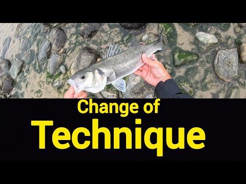 Видео: Ловля морского окуня на стол