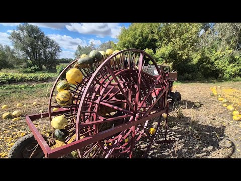 Видео: Пробний тест// Колесо підборщик гарбузів 