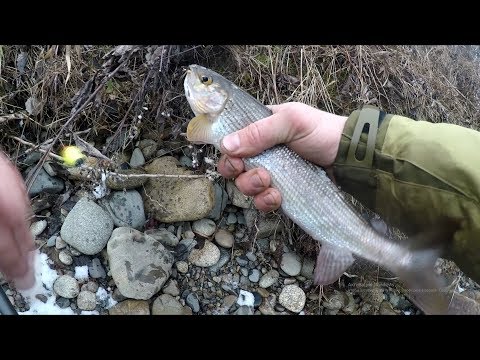 Видео: Последняя октябрьская рыбалка на Средней Терси