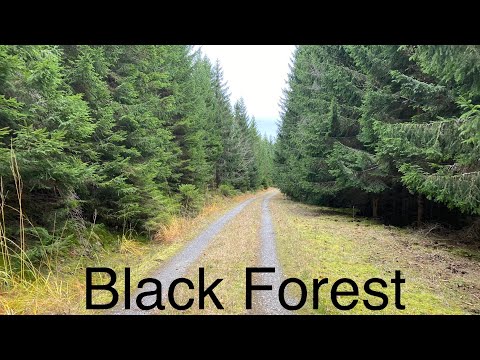 Видео: Мои будни - закупка, ремонт мотоцикла￼, на лодке у реки Рейн, прогулка в чёрном лесу. ￼