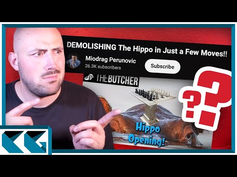 Видео: Мой ответ на видео «УНИЧТОЖЕНИЕ Бегемота»