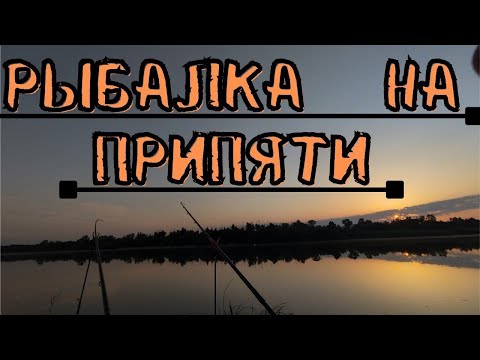 Видео: Чуть Не Утянуло Фидер | Отдых и Рыбалка на реке Припять |