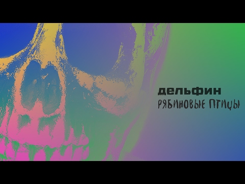 Видео: Дельфин - Рябиновые птицы