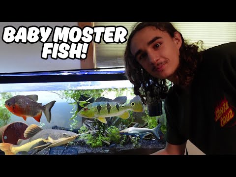 Видео: ПЕРЕМЕЩАЮ ВСЮ МОЮ ГЛАВНУЮ РЫБУ!!!!