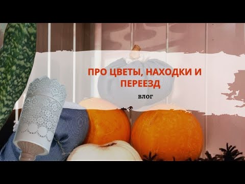 Видео: Влог о сезонном изменении растений, простых элементах декора и начале рабочего переезда)))