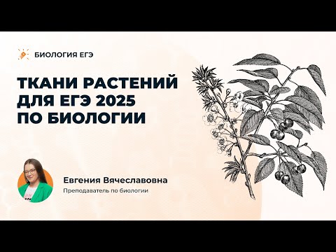 Видео: ТКАНИ РАСТЕНИЙ для ЕГЭ 2025 по биологии