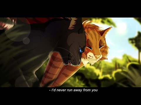 Видео: Коты Воители - Я Верю Тебе - Клип(На день святого Валентина)