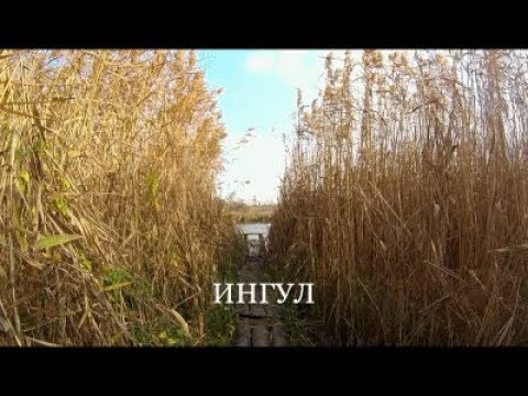 Видео: За щукой по Ингулу. Пересадовка.