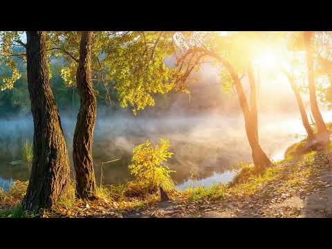 Видео: Прылячу да цябе