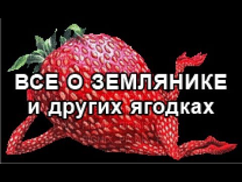 Видео: Проверенный способ посадки рассады земляники с ЗКС.