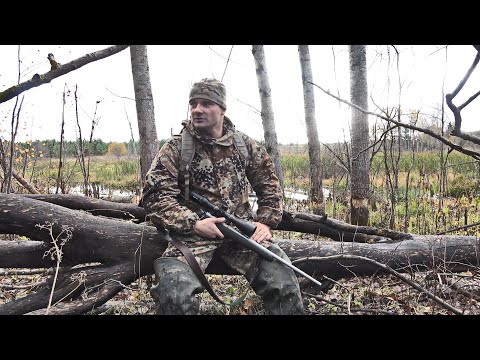 Видео: ОХОТА НА БОЛЬШИЕ СТАИ ТЕТЕРЕВА НА ПОЛЯХ. ОХОТА С МЕЛКАШКОЙ. СЛОЖНЫЕ ПОДХОДЫ В ВЕТЕР.