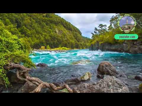 Видео: Равиль хазрат Бикбаев -  Шайтан коткасы һәм нәфес