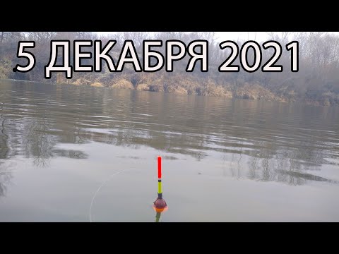 Видео: Рыбалка на поплавок в декабре в минусовую погоду.
