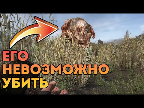 Видео: МЕГАГИГАНТ: крупнейший Псевдогигант, которого я видел! STALKER ОП 2.2 #0040