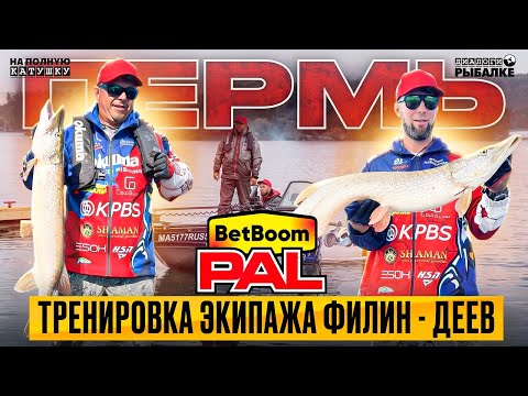 Видео: BetBoom PAL 2025 Пермь / Тренировка экипажа Филин - Деев