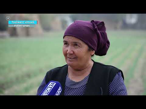 Видео: 🌱 Кузги тўқонбости экинлар – бахорги даромад манбаи