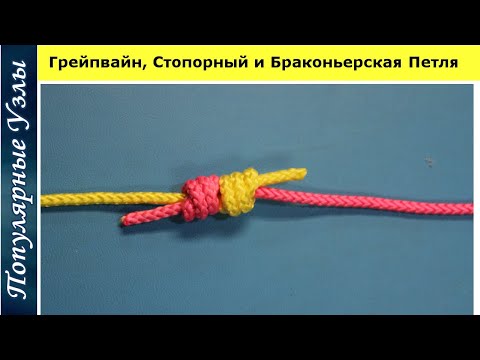 Видео: Как Завязать Грейпвайн Полугрейпвайн Браконьерская Петля Узел Рыбака @Популярные Узлы Fishing Sports