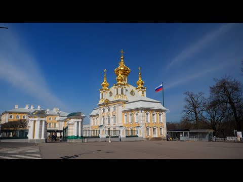 Видео: Петергоф, Нижний парк 22 апреля 2025 года