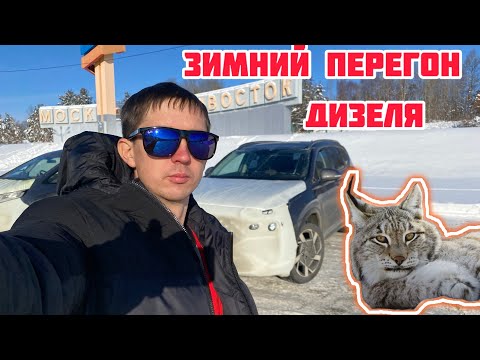 Видео: Зимний перегон дизеля Santa Fe. Встреча с рысью, фазанами)))) 1.12.2024