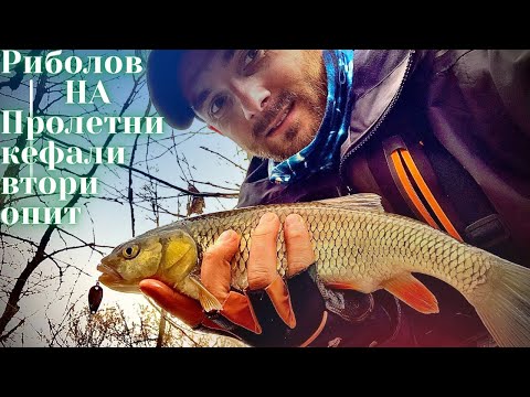 Видео: Риболов на пролетни кефали по р.Луда Камчия втори опит