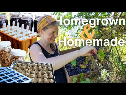 Видео: 4 закуски, которые мы готовим постоянно (5 ингредиентов или меньше!)