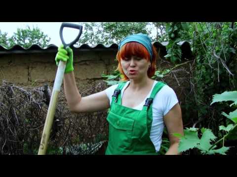 Видео: Я нашла способ избавиться от хмеля