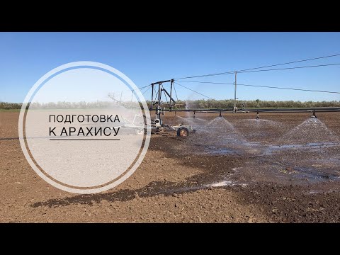 Видео: Полив под посев АРАХИСА |  ПРОСО уже под верхом